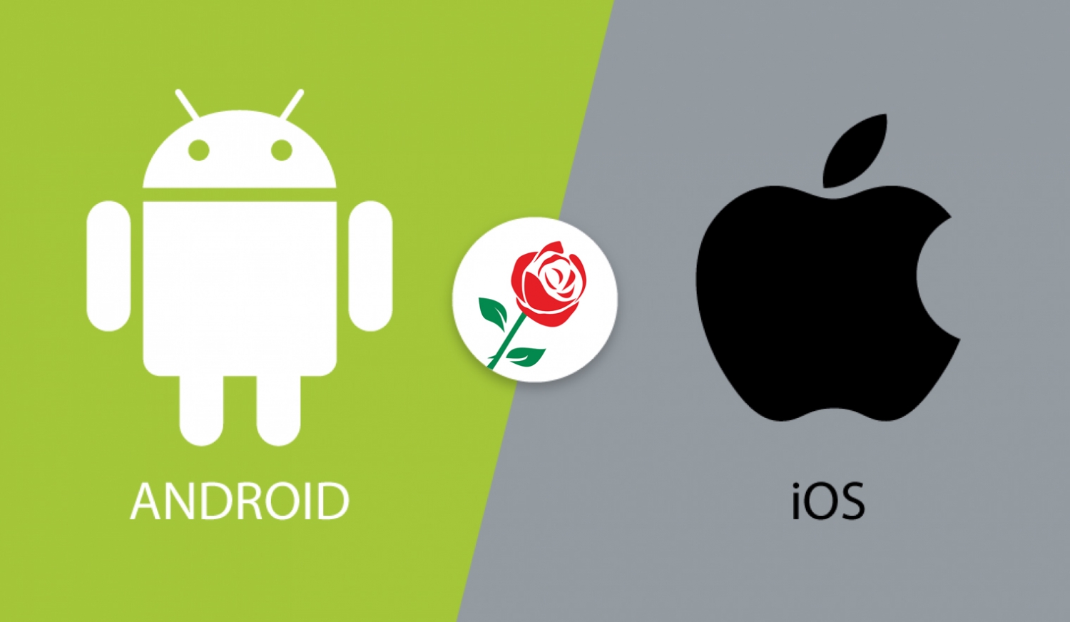 Приложение для IOS и Android